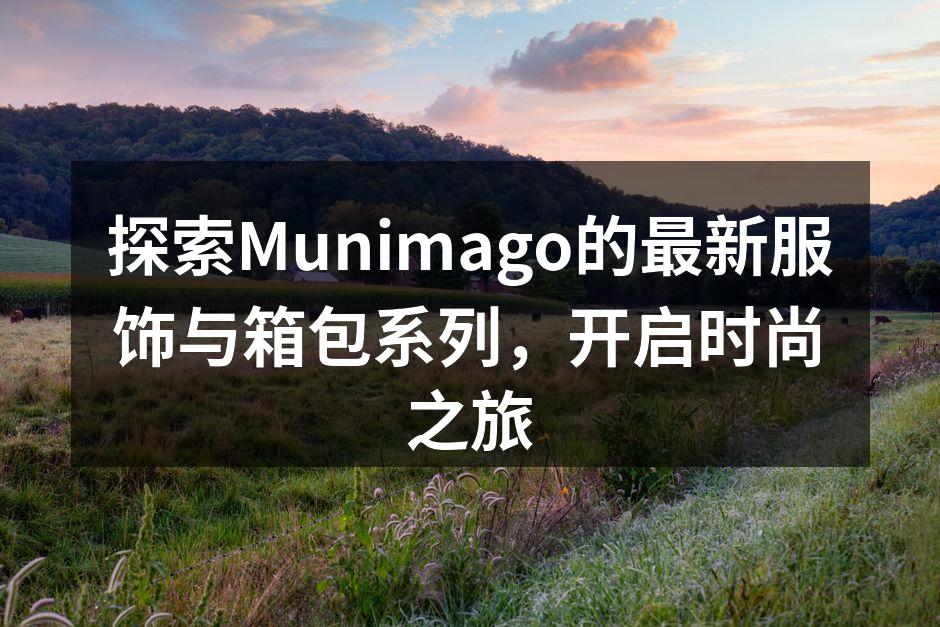 新款箱包系列,兼顾时尚与实用